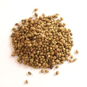 Coriander Seeds