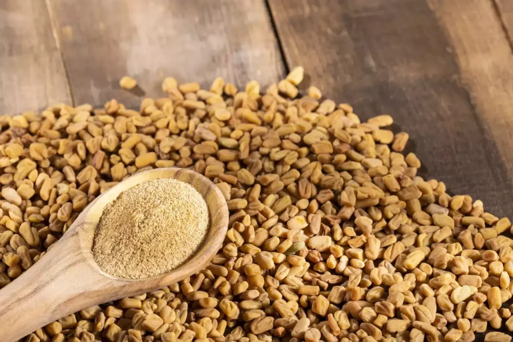 benefits of fenugreek seeds for hair